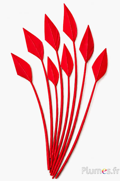 Zwaan pijl - 20-30 cm - rood